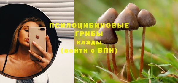 прущая мука Алзамай