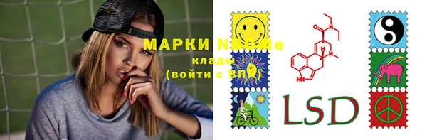 прущие грибы Алексеевка